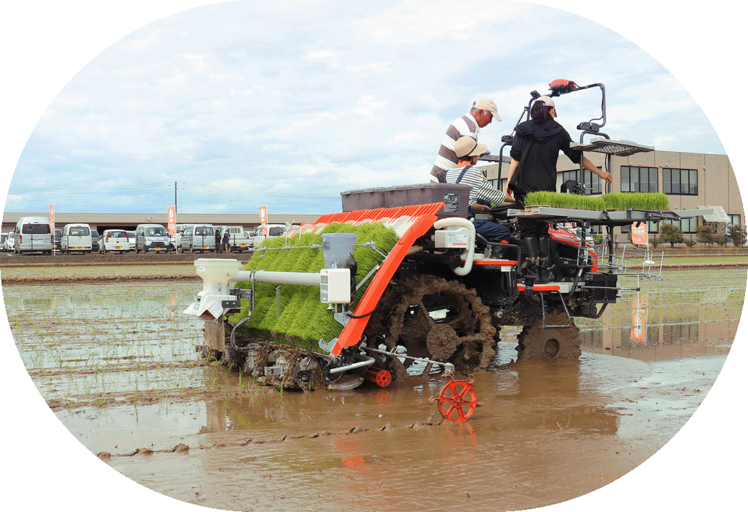 写真：田植え機で田植えを行っている写真