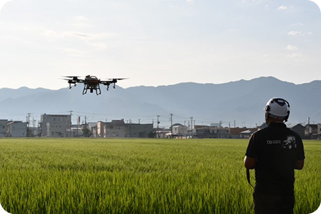写真：田んぼでドローン操作をしている写真
