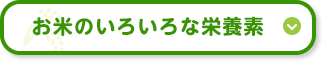 お米のいろいろな栄養素