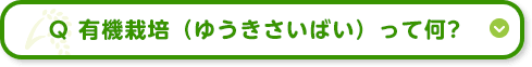 稲の種類