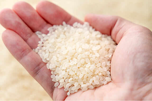 原料となるお米をひと掬いした手の写真