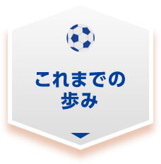 アルビレックス新潟 J1昇格・J2優勝記念スペシャルサイト
