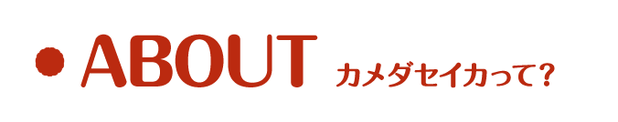 カメダセイカって？