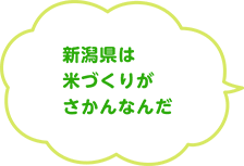新潟県は米づくりがさかんなんだ