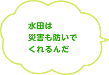 水田は災害も防いでくれるんだ