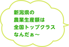 新潟県の農業生産額は全国トップクラスなんだぁ〜