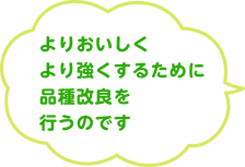 よりおいしくより強くするために品種改良を行うのです